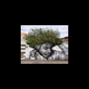 Meet your Posher, Carmille